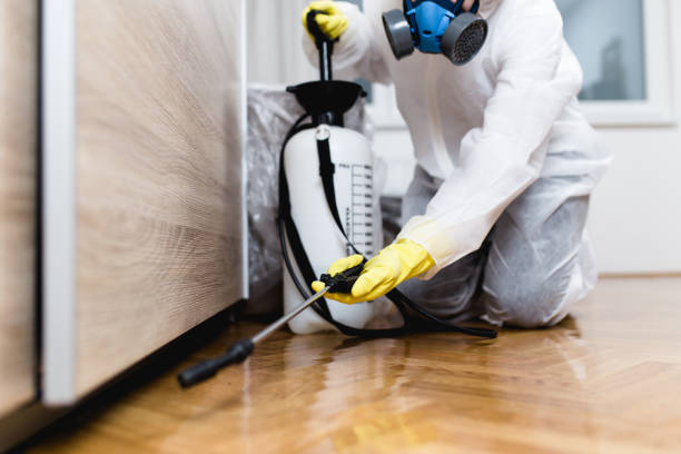 Trusted Watervliet, MI Pest Control Experts