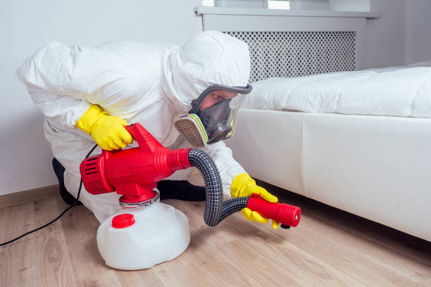Best Best Pest Control Companies  in Watervliet, MI
