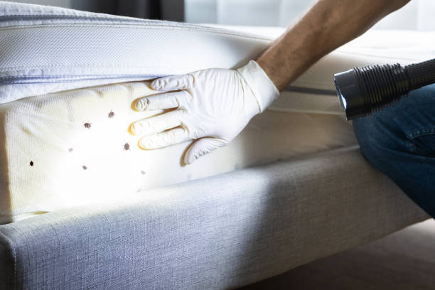 Best Pest Removal Services  in Watervliet, MI