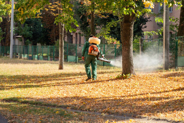 Best Spider Control Near Me  in Watervliet, MI